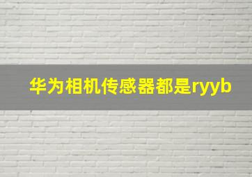 华为相机传感器都是ryyb