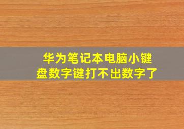 华为笔记本电脑小键盘数字键打不出数字了