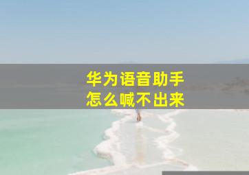 华为语音助手怎么喊不出来