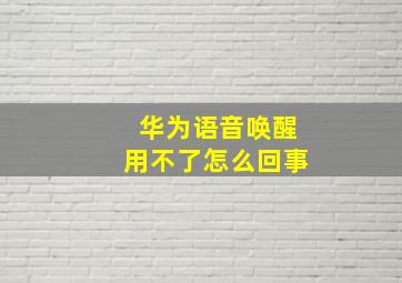 华为语音唤醒用不了怎么回事