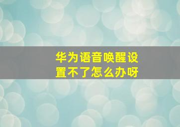 华为语音唤醒设置不了怎么办呀