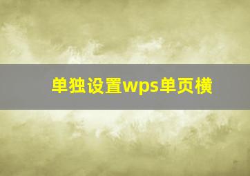 单独设置wps单页横