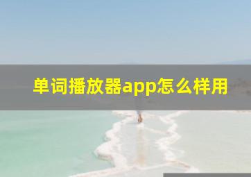 单词播放器app怎么样用