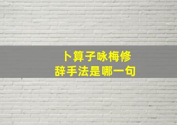 卜算子咏梅修辞手法是哪一句