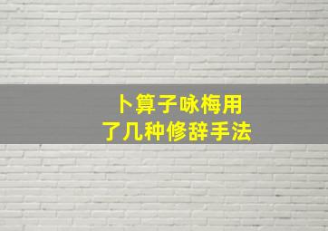 卜算子咏梅用了几种修辞手法