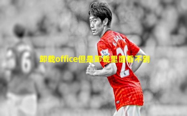 卸载office但是卸载里面看不到