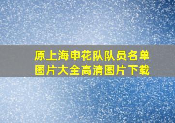 原上海申花队队员名单图片大全高清图片下载