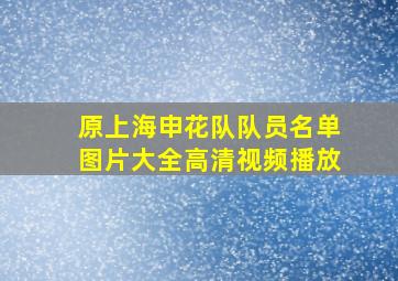 原上海申花队队员名单图片大全高清视频播放