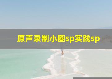 原声录制小圈sp实践sp