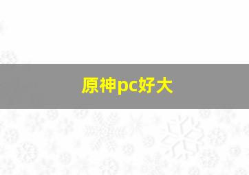 原神pc好大