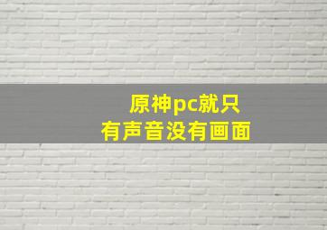 原神pc就只有声音没有画面