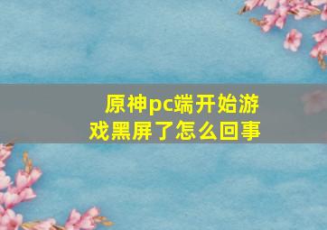 原神pc端开始游戏黑屏了怎么回事