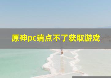 原神pc端点不了获取游戏