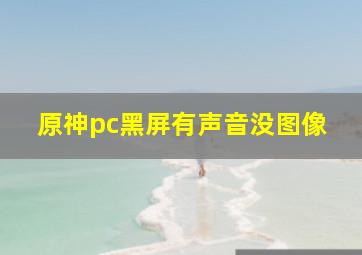 原神pc黑屏有声音没图像