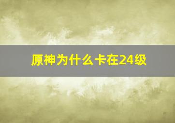 原神为什么卡在24级