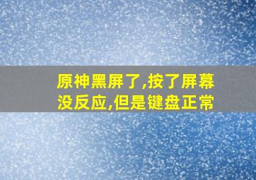 原神黑屏了,按了屏幕没反应,但是键盘正常