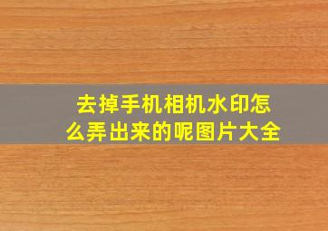 去掉手机相机水印怎么弄出来的呢图片大全