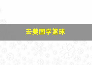 去美国学篮球