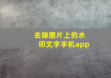 去除图片上的水印文字手机app