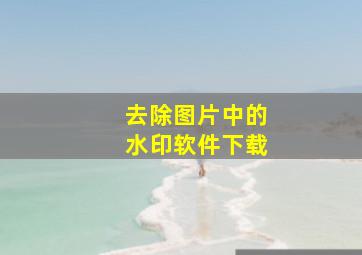 去除图片中的水印软件下载