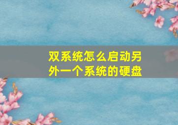 双系统怎么启动另外一个系统的硬盘