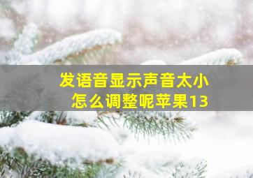 发语音显示声音太小怎么调整呢苹果13