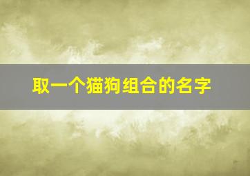 取一个猫狗组合的名字