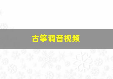 古筝调音视频