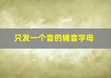 只发一个音的辅音字母