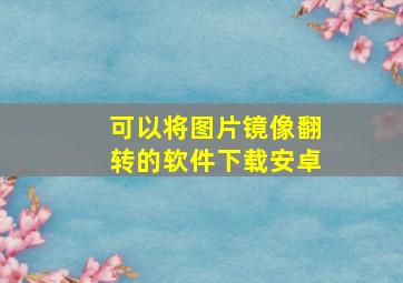 可以将图片镜像翻转的软件下载安卓