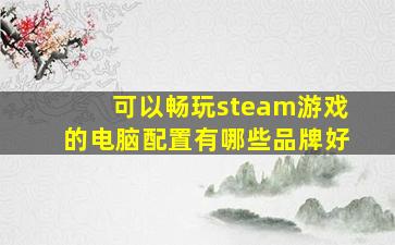 可以畅玩steam游戏的电脑配置有哪些品牌好