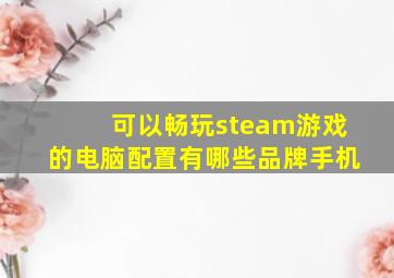 可以畅玩steam游戏的电脑配置有哪些品牌手机