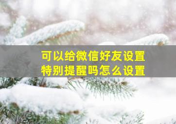 可以给微信好友设置特别提醒吗怎么设置