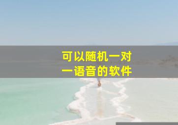 可以随机一对一语音的软件