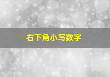 右下角小写数字