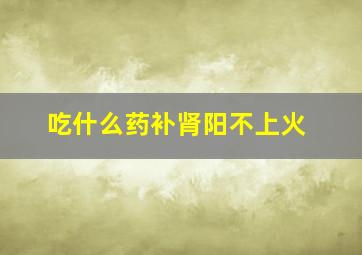 吃什么药补肾阳不上火