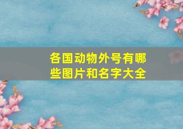 各国动物外号有哪些图片和名字大全