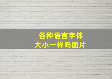 各种语言字体大小一样吗图片