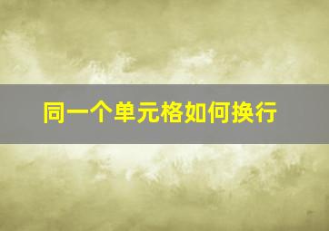 同一个单元格如何换行