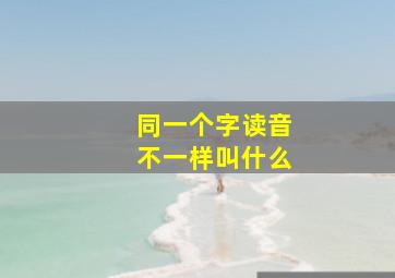 同一个字读音不一样叫什么