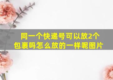 同一个快递号可以放2个包裹吗怎么放的一样呢图片