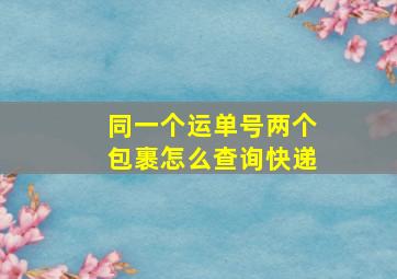 同一个运单号两个包裹怎么查询快递