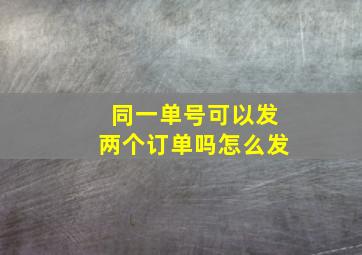 同一单号可以发两个订单吗怎么发