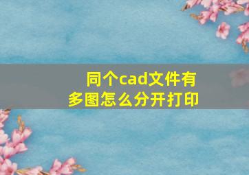 同个cad文件有多图怎么分开打印