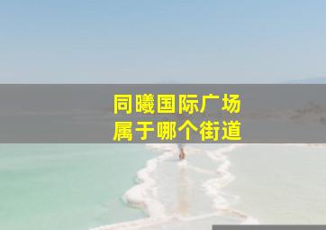 同曦国际广场属于哪个街道