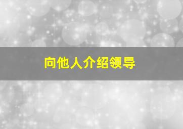 向他人介绍领导