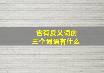 含有反义词的三个词语有什么