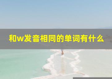 和w发音相同的单词有什么