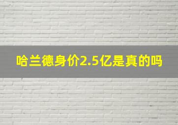 哈兰德身价2.5亿是真的吗