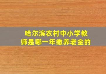 哈尔滨农村中小学教师是哪一年缴养老金的